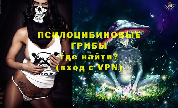 хмурый Вяземский