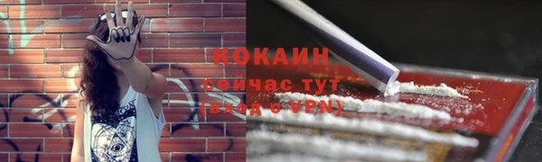 ГАЛЛЮЦИНОГЕННЫЕ ГРИБЫ Горнозаводск