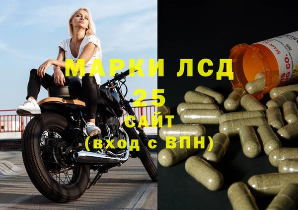 гашик Горно-Алтайск