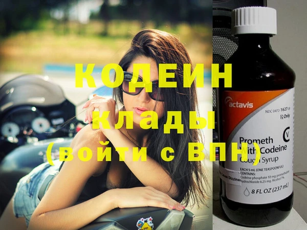 хмурый Вяземский