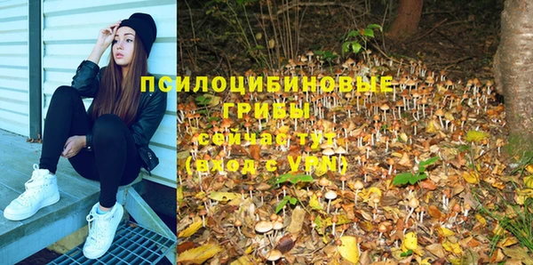 круглые Снежинск