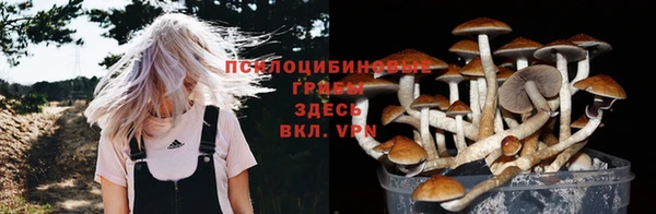 ГАЛЛЮЦИНОГЕННЫЕ ГРИБЫ Горнозаводск