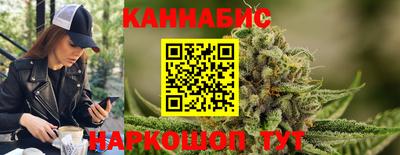 сатива Можга