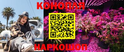 шишки Гусь-Хрустальный