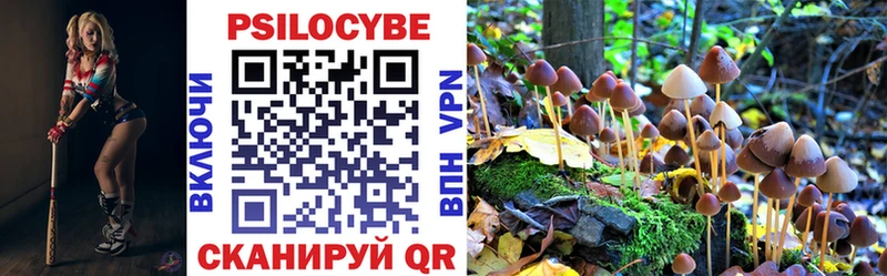 Галлюциногенные грибы Psilocybe  MEGA ссылки  Касимов 