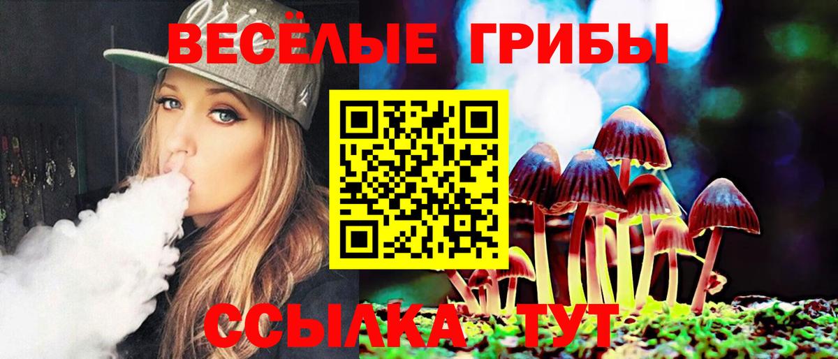 Псилоцибиновые грибы Psilocybe  Псилоцибиновые грибы ЛСД  Вход с VPN  Касимов 